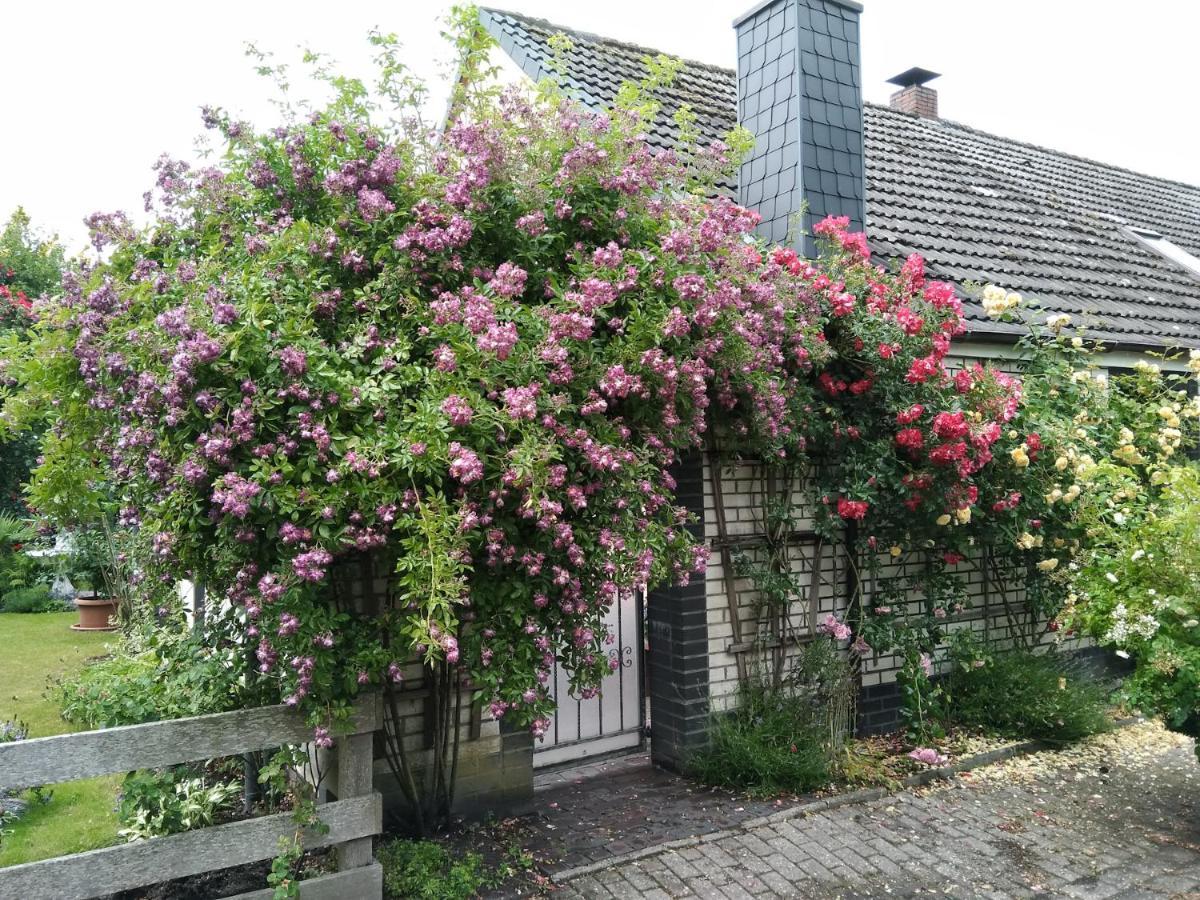 Apartamento Haus Sielblick Schillig Exterior foto